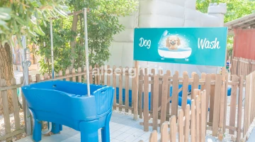 Dog wash