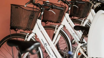 Bicycle rental available