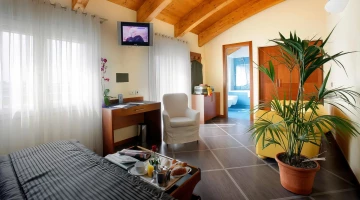 Suite with sofa and TV