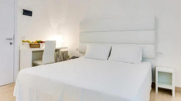 Basic Double Room