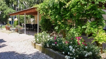 Garten der Struktur