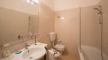 Private bathroom with bathtub