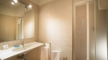 Private bathroom with shower box