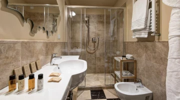 Salle de bain avec douche, serviettes et set de courtoisie