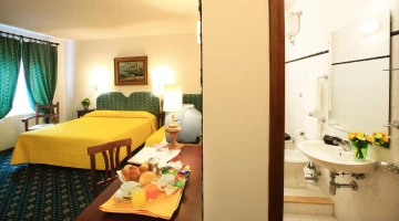 Salle de bain privée dans la chambre