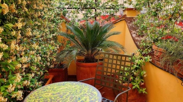 Terrasse mit Tisch und Stühlen