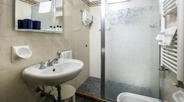Salle de bain privée avec cabine de douche