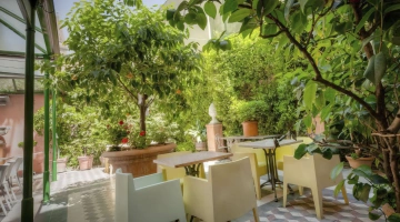 Garden with lemon house