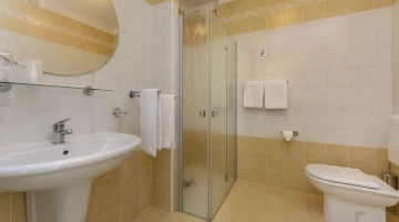 Salle de bain privée avec cabine de douche
