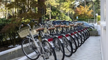 Location de vélos sur place