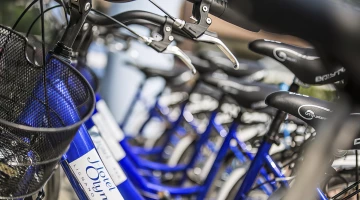 Noleggio bici in loco