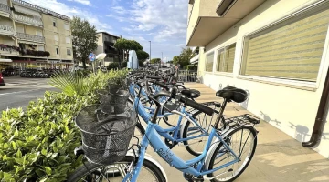 Bike rental on site