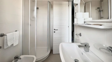 Private bathroom with shower and wall-mounted hairdryer