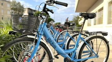 Bike rental on site