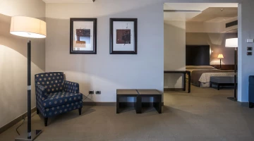 Suite with living area