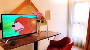 Chambre avec télévision à écran plat