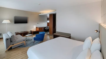 Suite with relaxation area and TV