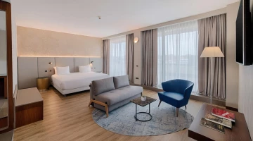 Suite with living area and terrace