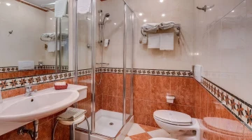 Bathroom with shower cubicle in Junior Suite