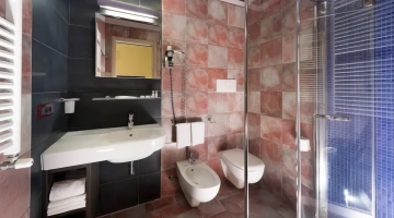 Badezimmer mit Dusche im Businesszimmer