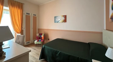 Superior Single Room with terrace