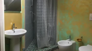 Private bathroom with shower