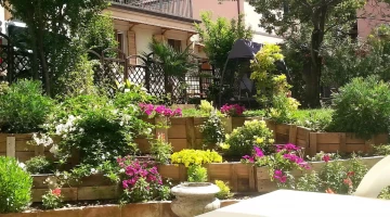 Plants in the garden