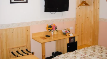 Minibar and TV in the room