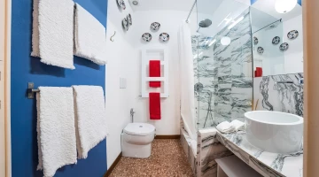 Bathroom with shower in the Fede room