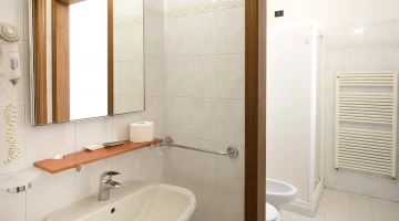 Private bathroom with shower and hairdryer