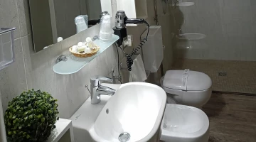 Private bathroom with shower and hairdryer
