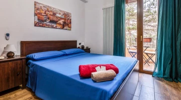 Deluxe double room