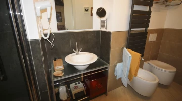 Private facilities in the room