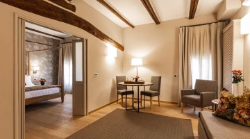 Deluxe apartment with living area