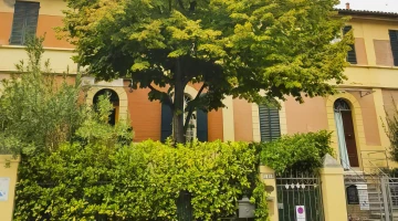 Exterior of the Stella del Mar structure