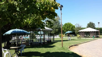 Outdoor garden swimming pool