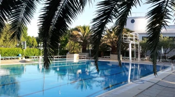 Vue sur la piscine du palmier
