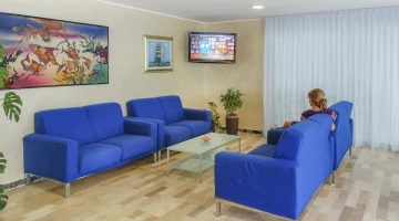 Zona tv