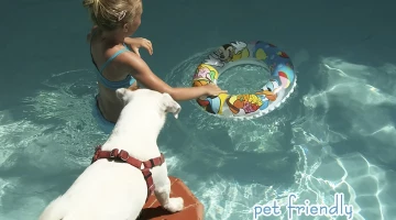 Hôtel acceptant les animaux domestiques à Cesenatico