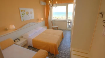 Room with a view