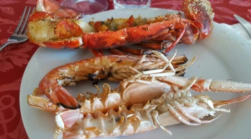 Fish specialities