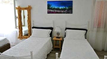 Lettini in quadrupla