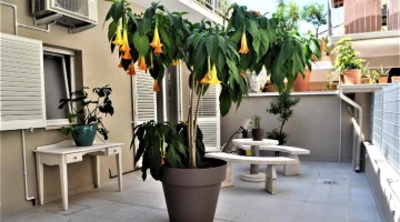 Private Terrasse der Suite