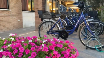 Free bike rental in the hotel