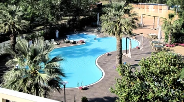 Garden with swimming pool