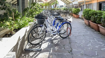 Bike rental on site