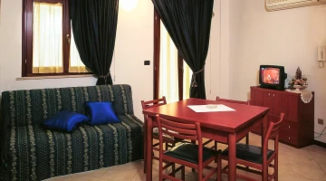 Living room with sofa bed