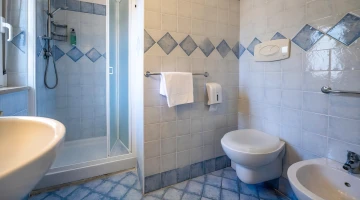 Salle de bain privée avec cabine de douche