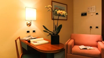 Armchair and desk in the room