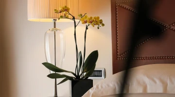Furnishing details